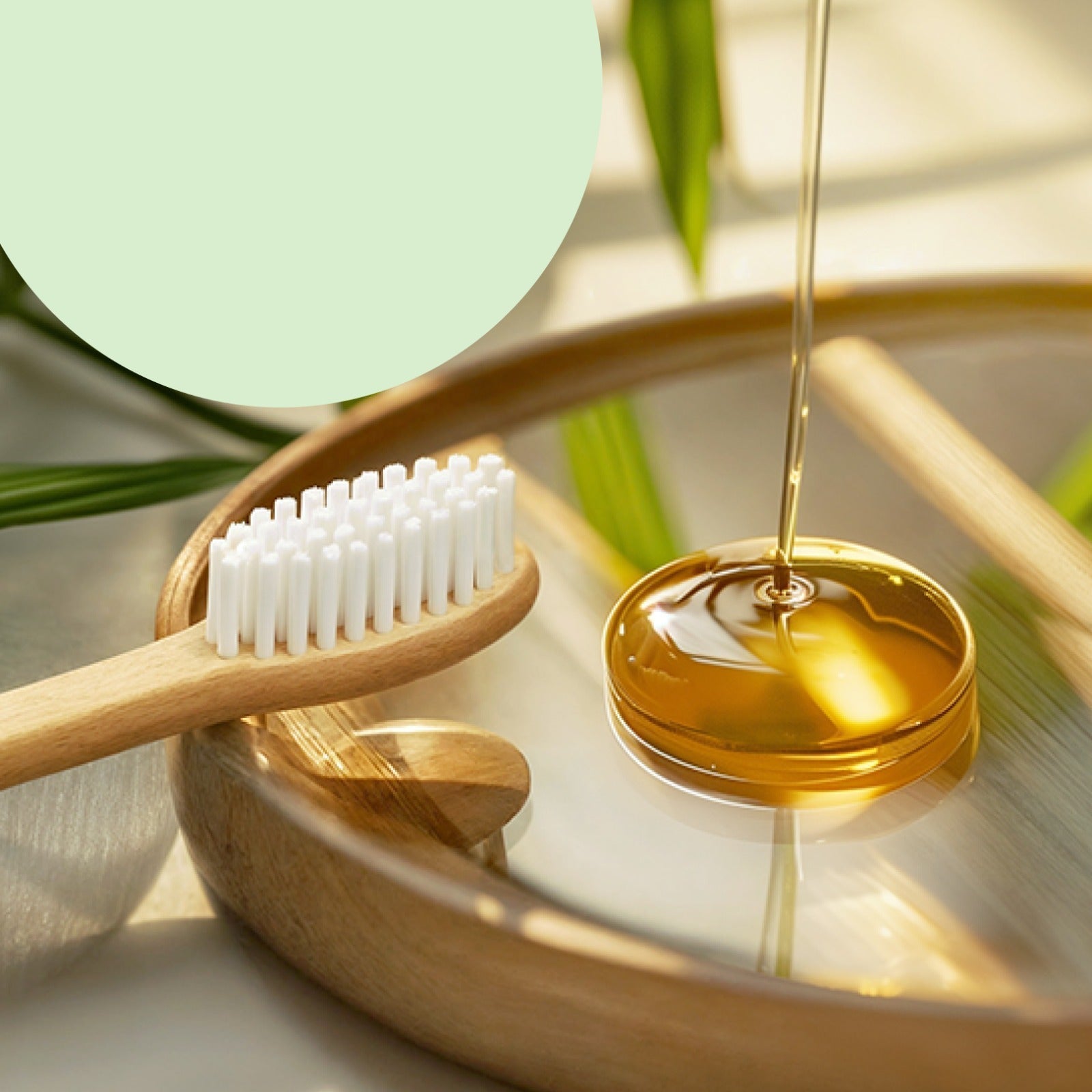 Bamboo toothbrush with white soft bristles resting in a wooden bowl with oil