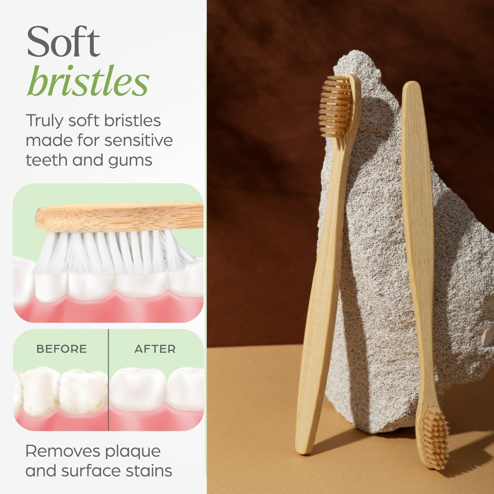 Bamboo toothbrushes with soft bristles on infographic, white bristles shown in foam