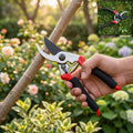 Bypass pruner with black handles and red grips, cutting blades on a branch