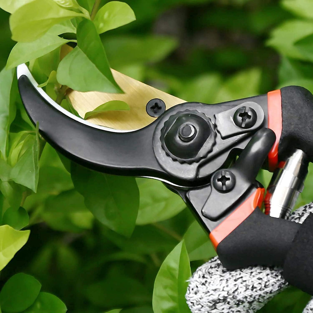Close-up bypass pruner head with black blades, red-and-black handle, screws and pivot
