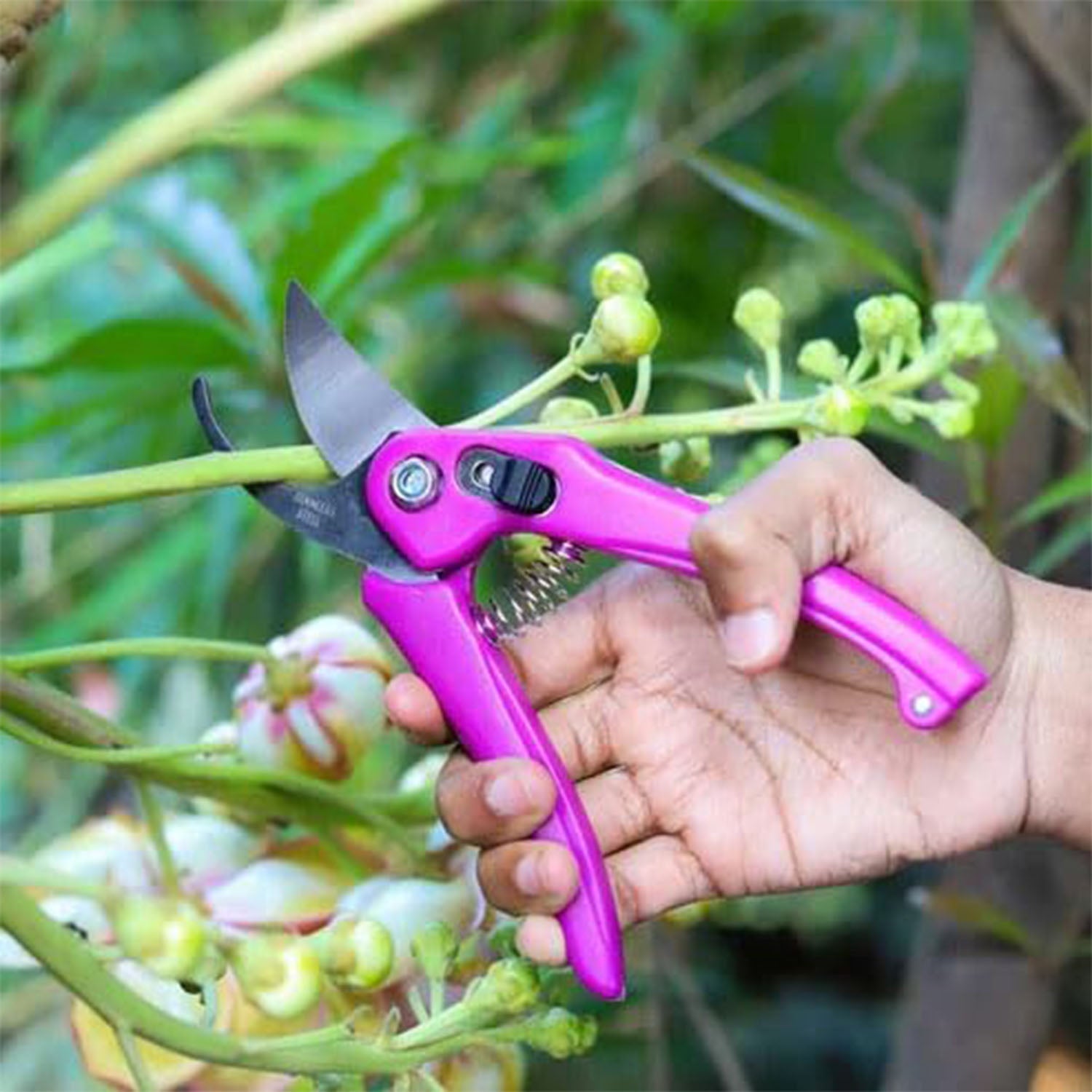 Pink-handled garden pruner with stainless steel blades trimming garden stems