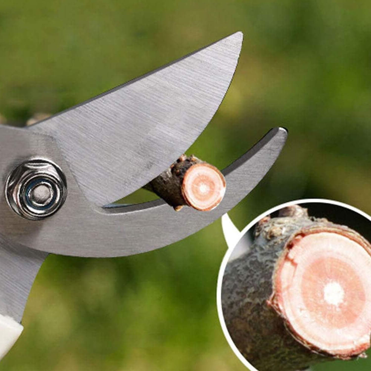 Stainless steel pruning shears cutting a small branch