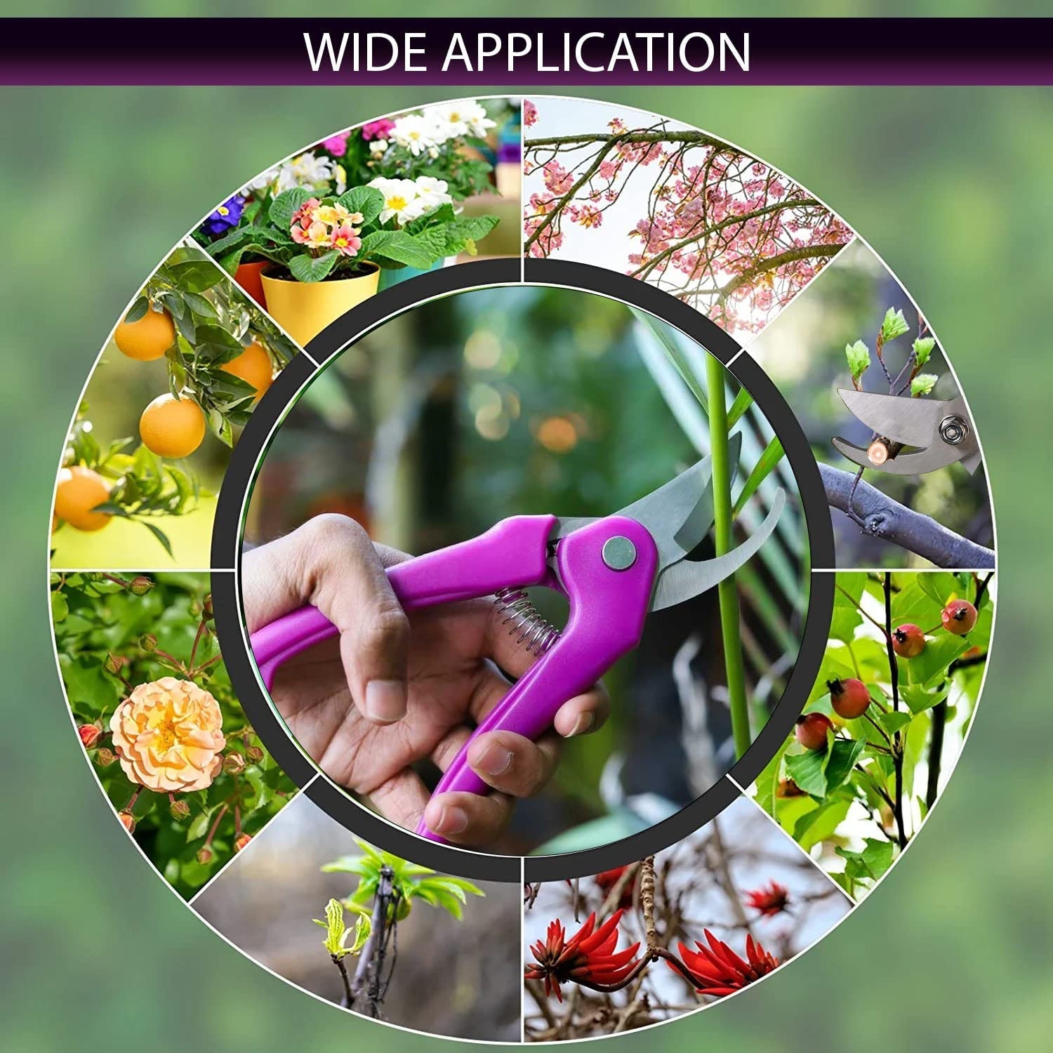 Pink garden pruning scissors with stainless steel blades and black wrist strap