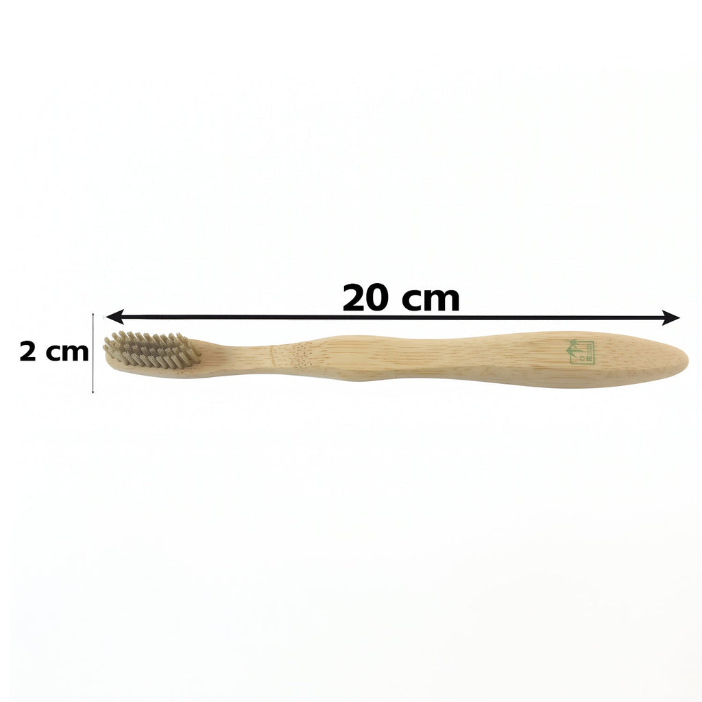 Soft bristle bamboo toothbrush with size markers: 20 cm long, 2 cm wide