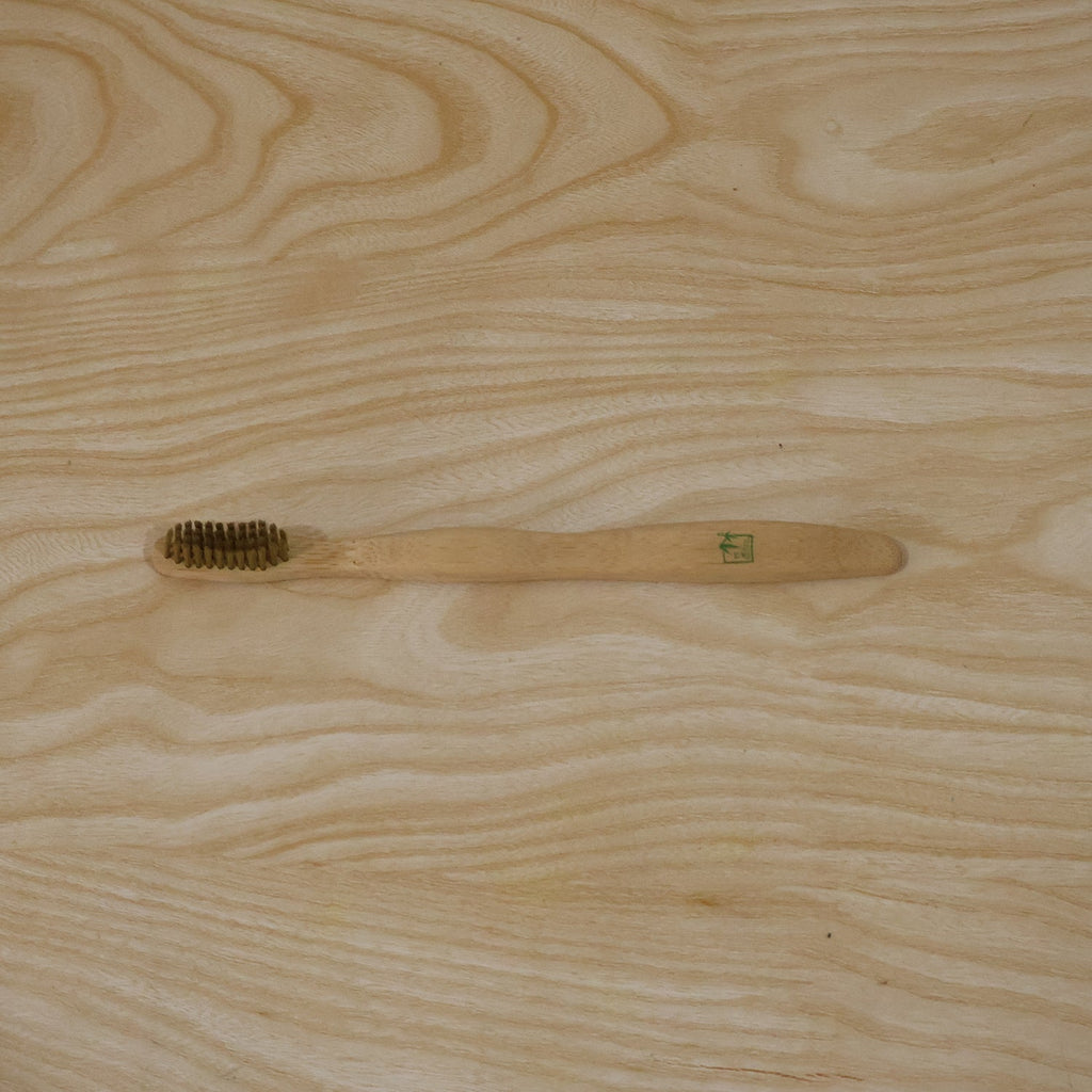Close view of bamboo toothbrush: small bristle head with soft green bristles on wood.
